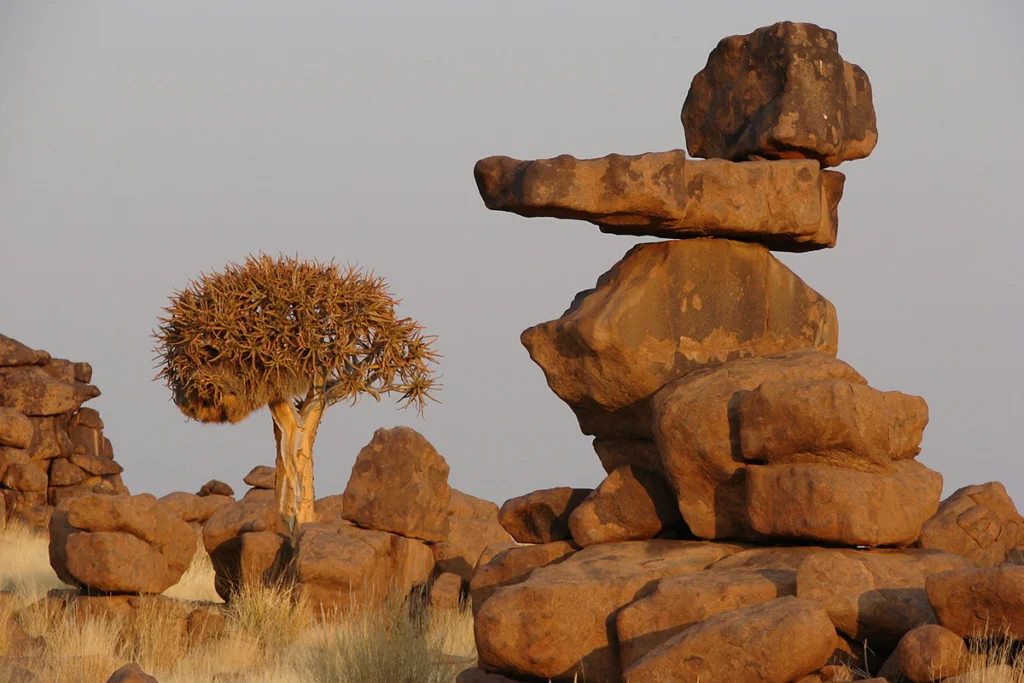 Image of rocks balancing and a tree beside it