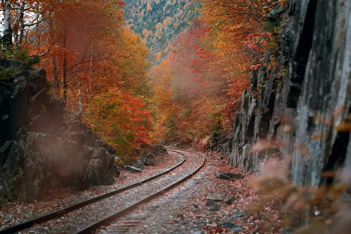 Leaves changing colors in fall at a railroad track