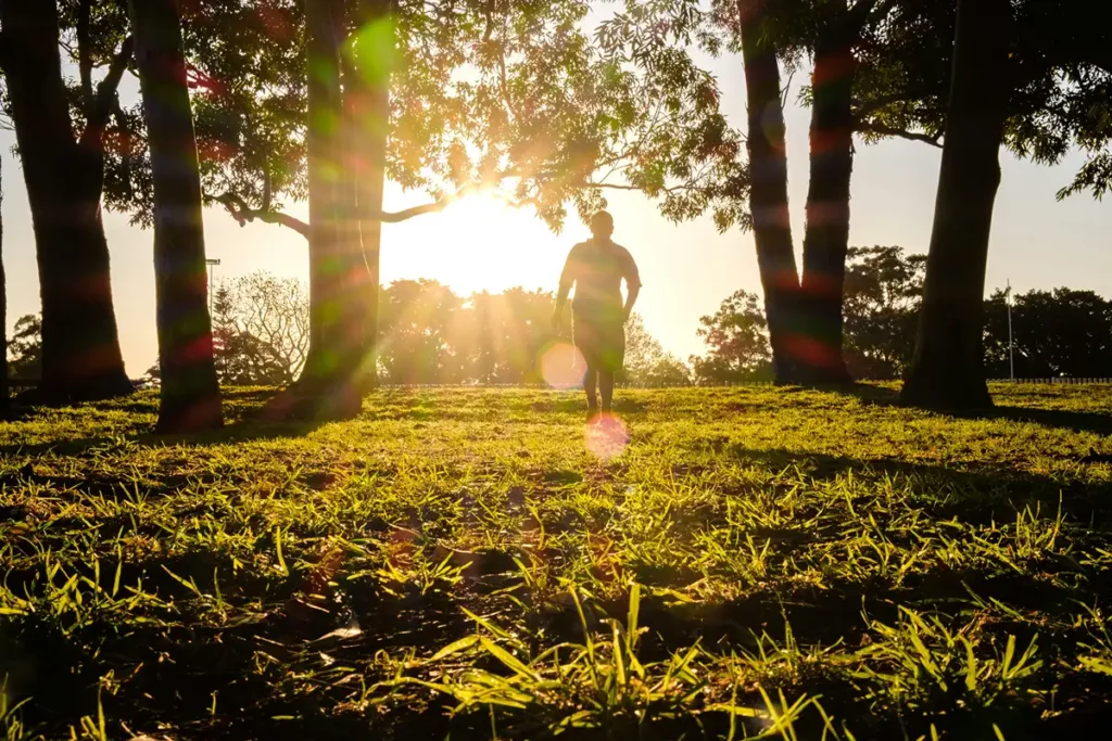Image of person walking through forest