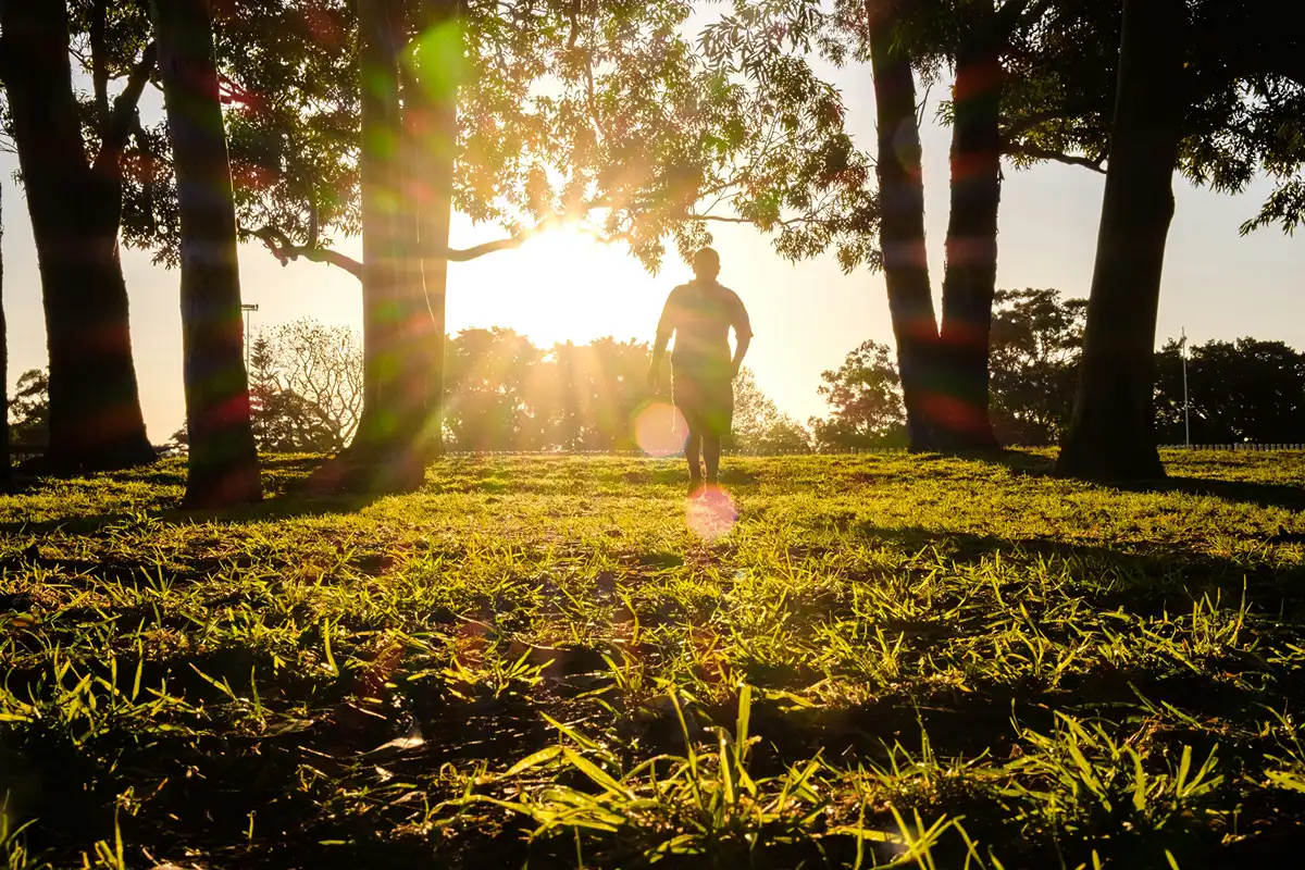 Image of person walking through forest